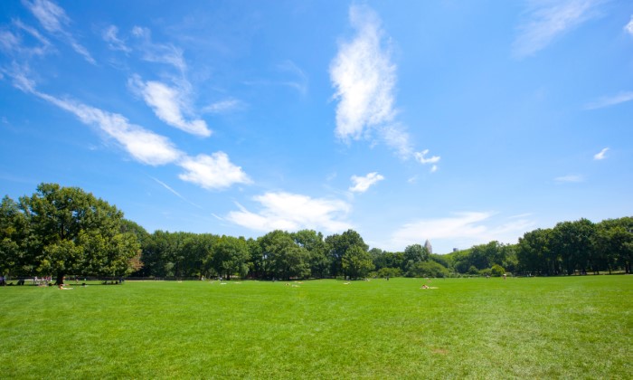 Full Grounds Rentals